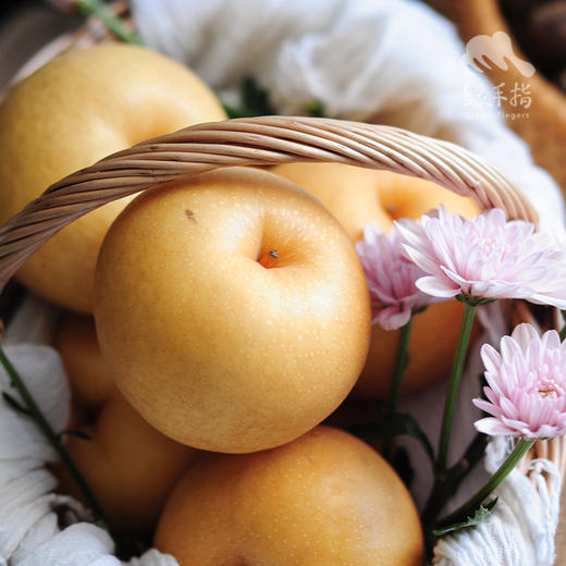 有机香水梨 | 合作生产 *Organic pear | Partner Production 商品图3