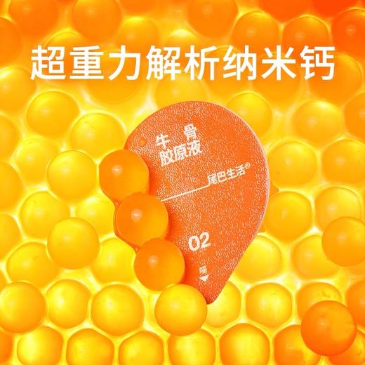 尾巴生活宠物猫咪狗狗骨胶原补钙发腮增肥小分子液体钙 商品图3