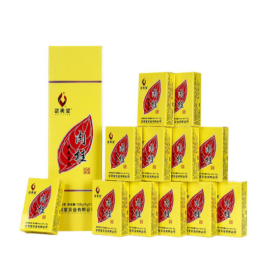 武夷星 黄条 肉桂 武夷岩茶 108g 商品图0