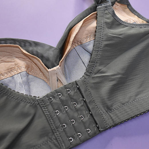 【秒杀品不退不换】皇家丽美薄款无钢圈聚拢调整型文胸W89-1 商品图3