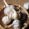 生态大蒜 | 合作生产*Eco-garlic | Coproduction 商品缩略图2