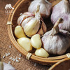 生态大蒜 | 合作生产*Eco-garlic | Coproduction 商品缩略图4