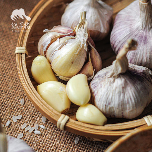 生态大蒜 | 合作生产*Eco-garlic | Coproduction 商品图4