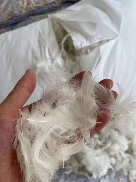 价值5800 高端富豪级床品！意大利芙蕾&特/MEDIUM鹅毛枕芯枕头单只装 奢华总统套房鹅毛枕 柔软舒适 蓬松回弹好 真材实料，货真价实！预售 商品图5