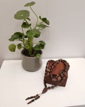 0,8达拉干沉香随形链子精品