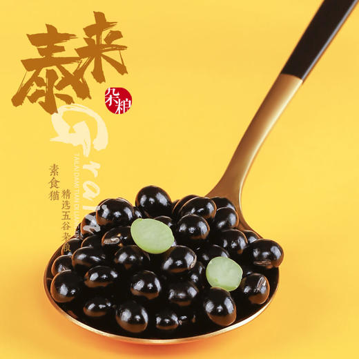 素食猫特产黑豆400g*3 商品图1
