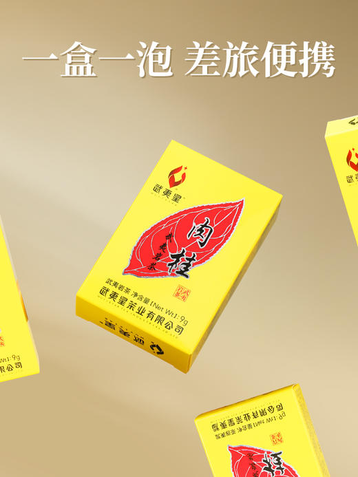 武夷星 黄条 肉桂 武夷岩茶 108g 商品图3