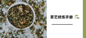 成分揭秘：你的“茶艺”修炼手册 