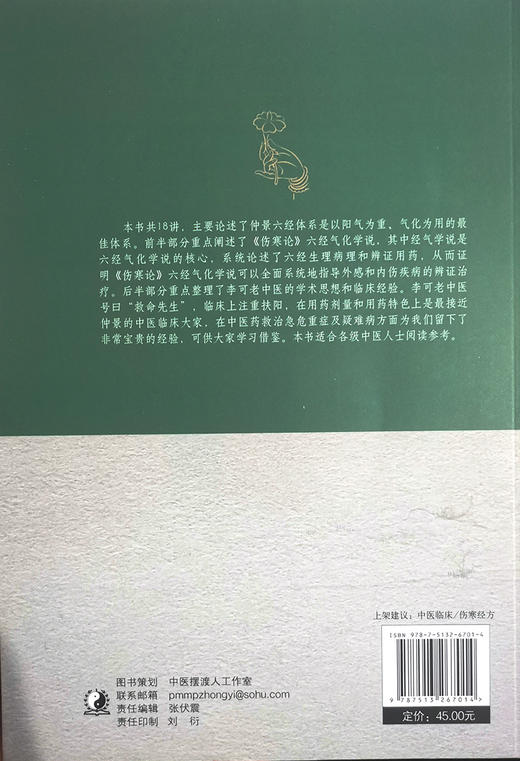 阳气为重气化为用 雒晓东六经体系讲稿及李可六经学术思想探讨 雒晓东 朱美玲 中医学书籍六经辨证 中国中医药出版社9787513267014 商品图2