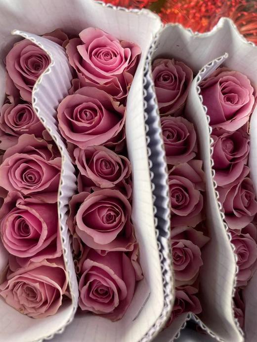 昆明玫瑰甜蜜雪山娇兰20支扎