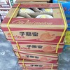 子鼎蜜瓜（件） 商品缩略图1