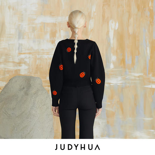 JUDYHUA 瓢虫提花宽松羊毛上衣 商品图2