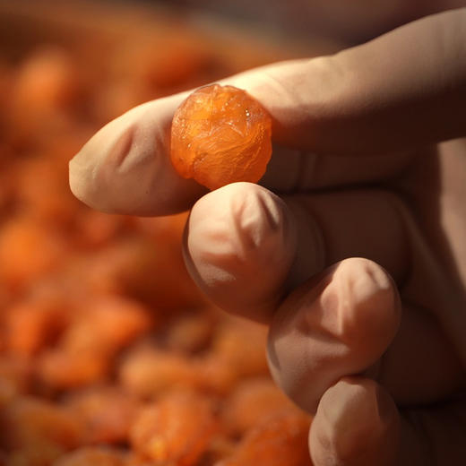 【无核免剥】高州桂圆肉250g 厚实饱满 去壳去核 干净少杂 甘醇不腻口 淡淡桂圆香满溢 商品图3