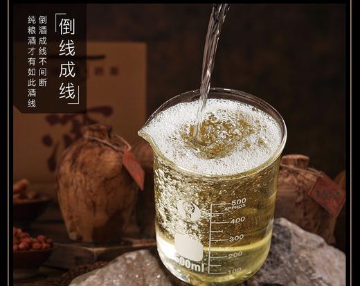 红池中岗原3号48°（黑） 窖藏高粱酒 商品图3