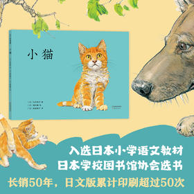 小猫