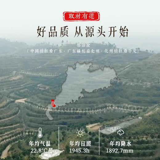 【南方人参】正宗化州橘红片6年陈橘红传统古法手工制作每天2片身体倍儿棒 商品图1