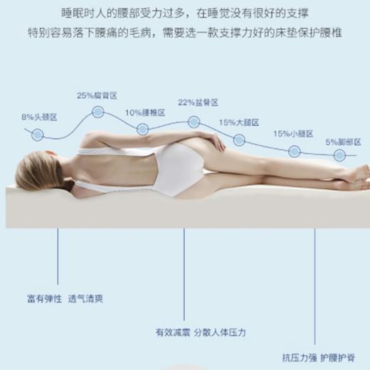 瑞吉欧马来西亚进口纯天然乳胶床垫95%含量，新疆西藏等偏远地需补运费差 商品图5