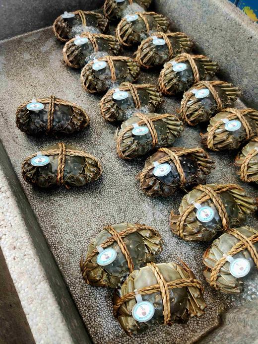 3两太湖大闸蟹 ，1只全部母蟹 商品图0