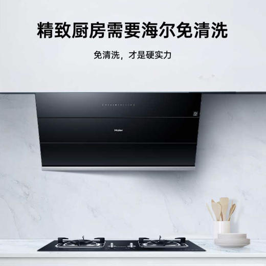 海尔（Haier）烟机CXW-219-C3900 商品图10