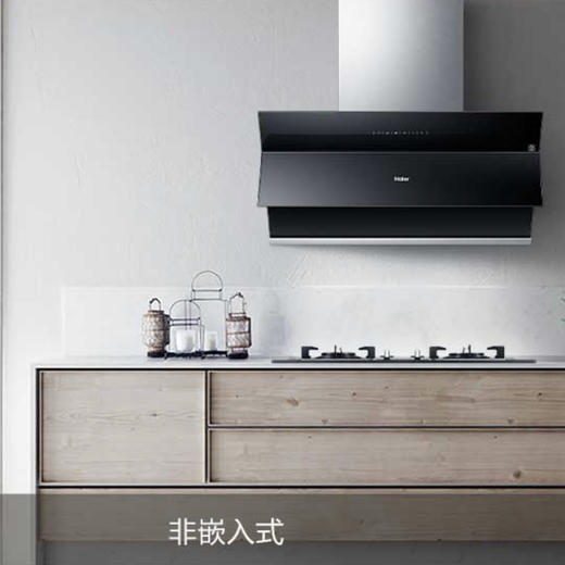 海尔（Haier）烟机CXW-219-C3900 商品图13