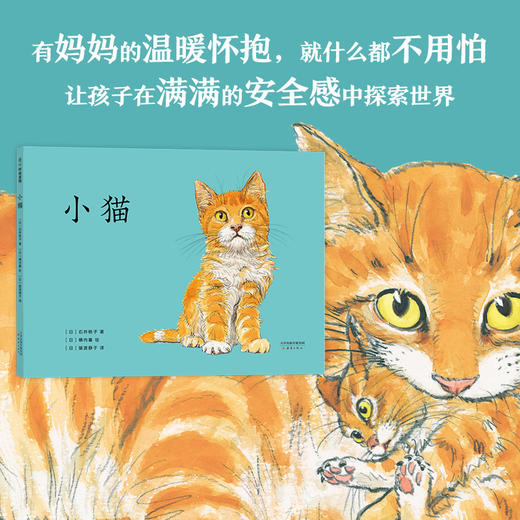 小猫 商品图1