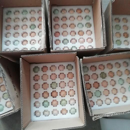 吉喔喔生态养殖专业合作社 商品图7