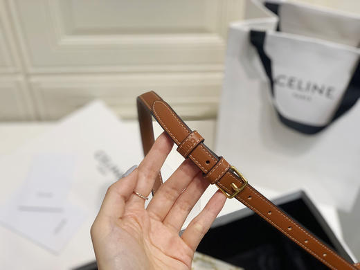 celin 新款马鞍包-白花 商品图5