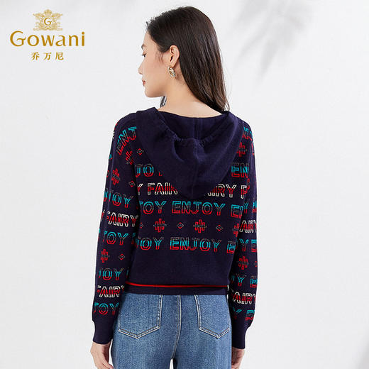 乔万尼春减龄针织衫绵羊毛弹力帽衫美式休闲百搭EI3M228 商品图3