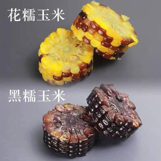 【11月1日前食用】疆农家有机糯玉米8花糯+2黑糯 商品图3