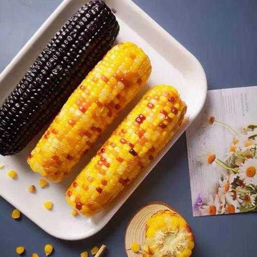 【11月1日前食用】疆农家有机糯玉米8花糯+2黑糯 商品图2