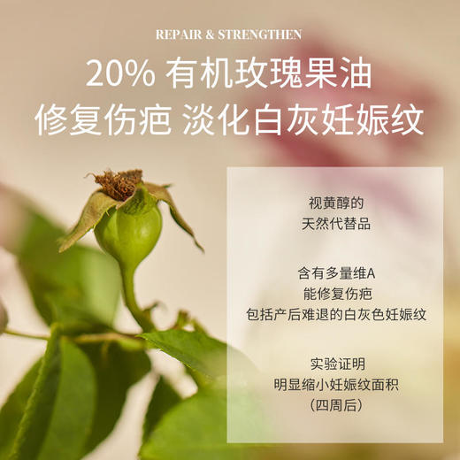 Evereden焕金修复肚精华肚油预防抚纹精华油50ml 商品图3