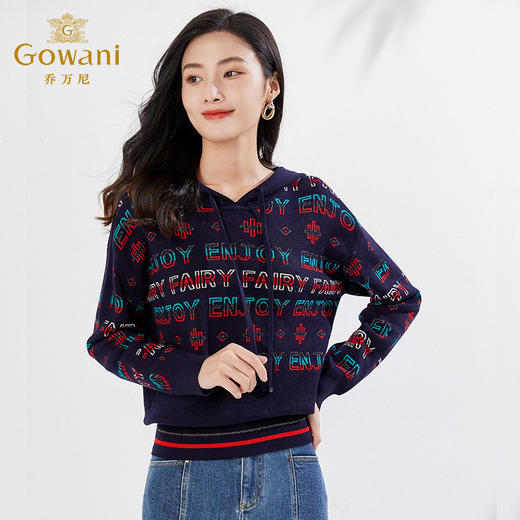 乔万尼春减龄针织衫绵羊毛弹力帽衫美式休闲百搭EI3M228 商品图2