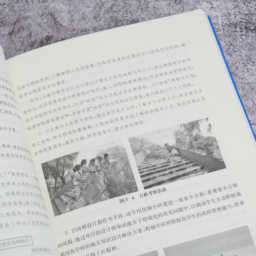 中小学综合实践活动的整体规划与实施 STEM视野下区域本土化研究 综合实践课程建设案例 STEM教育 跨学科学习 华东师范大学出版社 商品图3