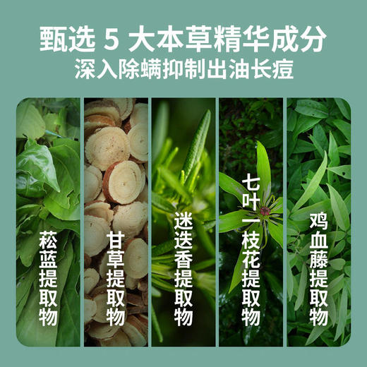 【脸部专利除螨买一送一】山茶花氨基酸洁面泡泡告别暗黄除螨率高达99.63%美白提亮控油祛痘去除黑头净化毛孔敏感肌适用烟酰胺洗面奶洁面慕斯150ml/瓶 商品图3