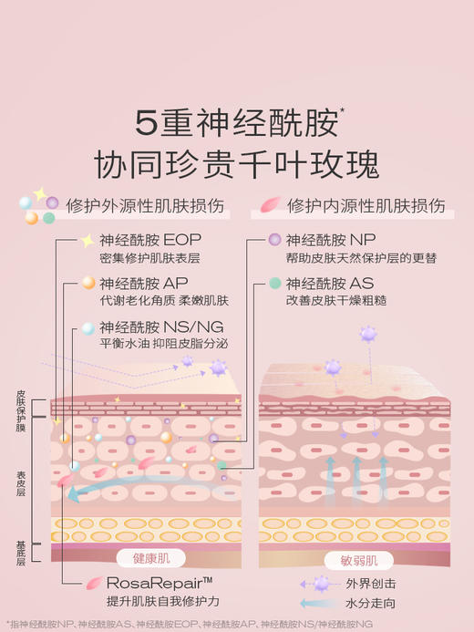 【新】PMPM千叶玫瑰精萃面霜神经酰胺舒缓修护面部保湿补水面霜 商品图5