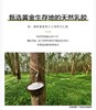 瑞吉欧马来西亚进口纯天然乳胶床垫95%含量，新疆西藏等偏远地需补运费差 商品缩略图2