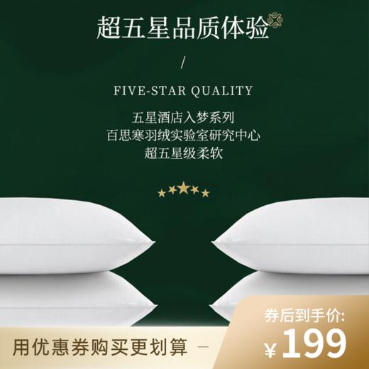 已下架【100代金券】百思寒 95%白鹅羽绒枕头 一支1100克中高枕保护颈椎帮助睡眠[福利品] 商品图0