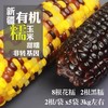 【11月1日前食用】疆农家有机糯玉米8花糯+2黑糯 商品缩略图1