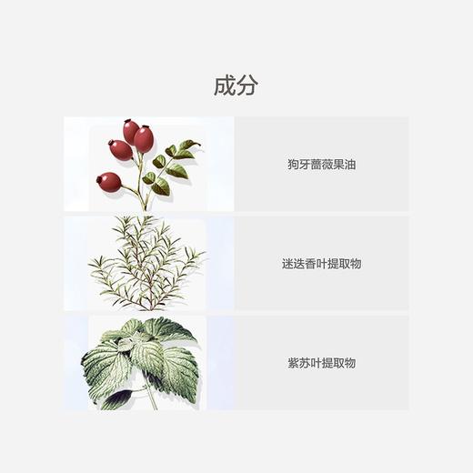 【中欧班列精选】日本黛珂植物韵律保湿泡沫洗面奶200ml BF  商品图3