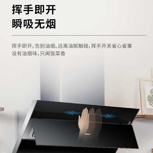 海尔（Haier）烟机CXW-219-C3900 商品图3