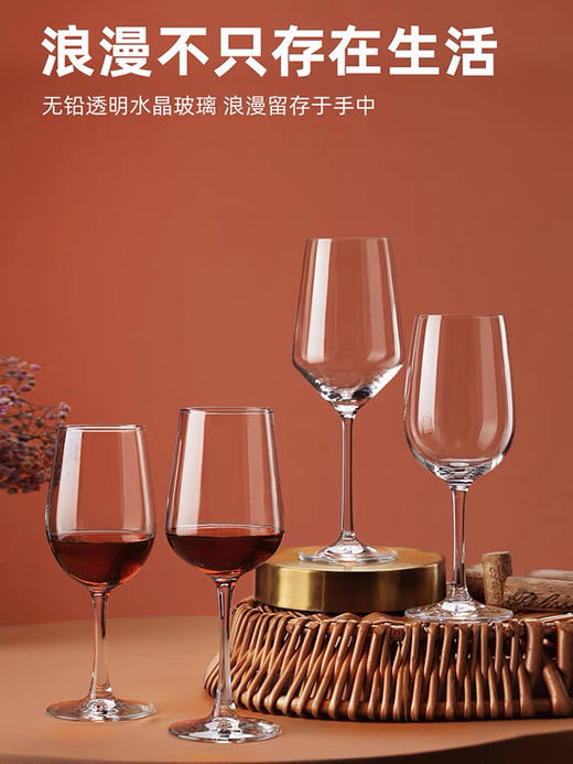 魅影无铅红酒杯2支装-印花手提袋简易装-会员6折 商品图1