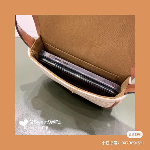 celin 新款马鞍包-白花 商品图8