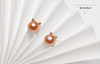 浅唱 | 耳钉 商品缩略图2