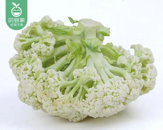【叼鲜蔬】兰州新鲜松花菜/1份（约500g） 商品图2