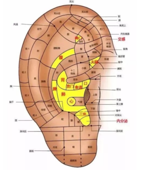 每天揉这里,等于给全身做"养生操"!气血通畅了,病痛减少了 