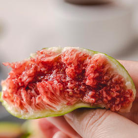 威海青皮无花果