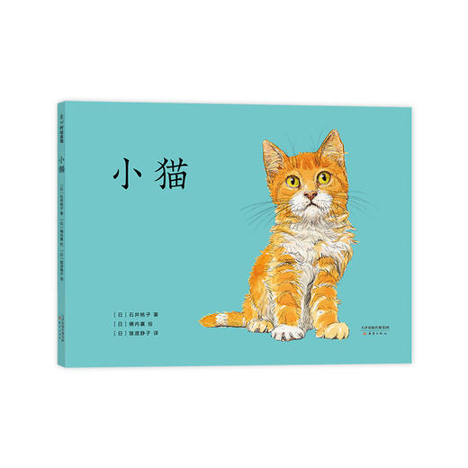 小猫 商品图3