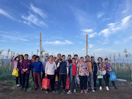 2025《爸爸的苹果》9颗装，12颗装，月卡、季卡、半年卡精品全熟果 商品图14