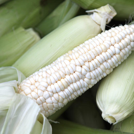 懒人蔬菜包(12种菜) 商品图6