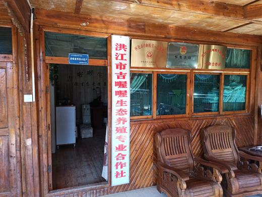 吉喔喔生态养殖专业合作社 商品图11